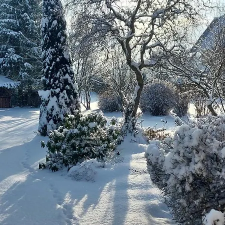 Maciejka